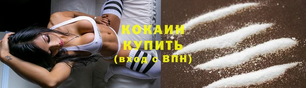 гашик Бабаево