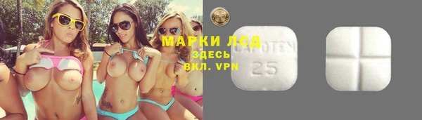 экстази Белая Холуница