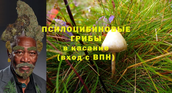 экстази Белая Холуница