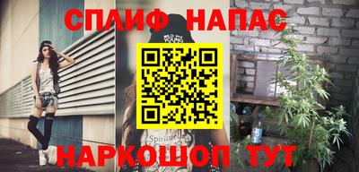 шишки Гатчина