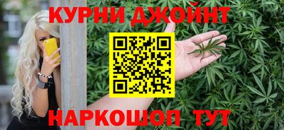 шишки Гатчина