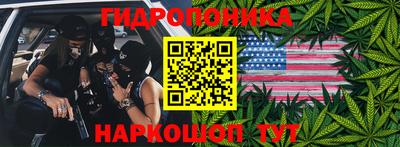 эйфоретик Гай