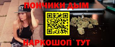 шишки Гатчина