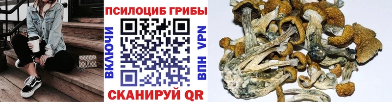 Галлюциногенные грибы GOLDEN TEACHER  Искитим 