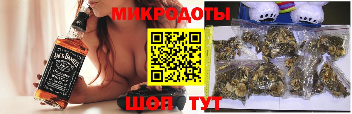 Искитим  Псилоцибиновые грибы Magic Shrooms  Вход с VPN  где продают наркотики  Галлюциногенные грибы мухоморы 